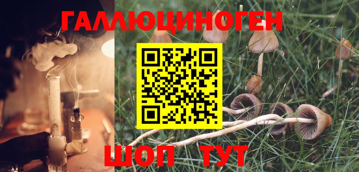 Псилоцибиновые грибы GOLDEN TEACHER  Вход с VPN  Курганинск 
